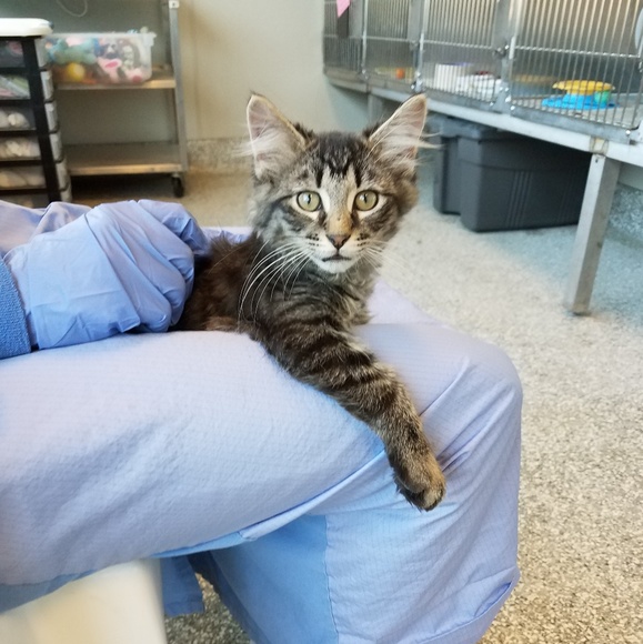 Meet your Posher, Rochelle (Roxy) - Picture 6 of 7